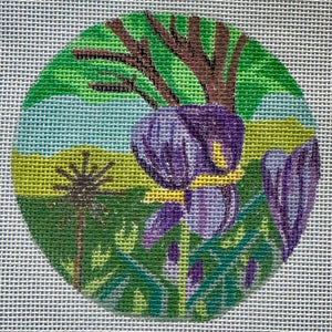 Iris Garden - One of a Kind!