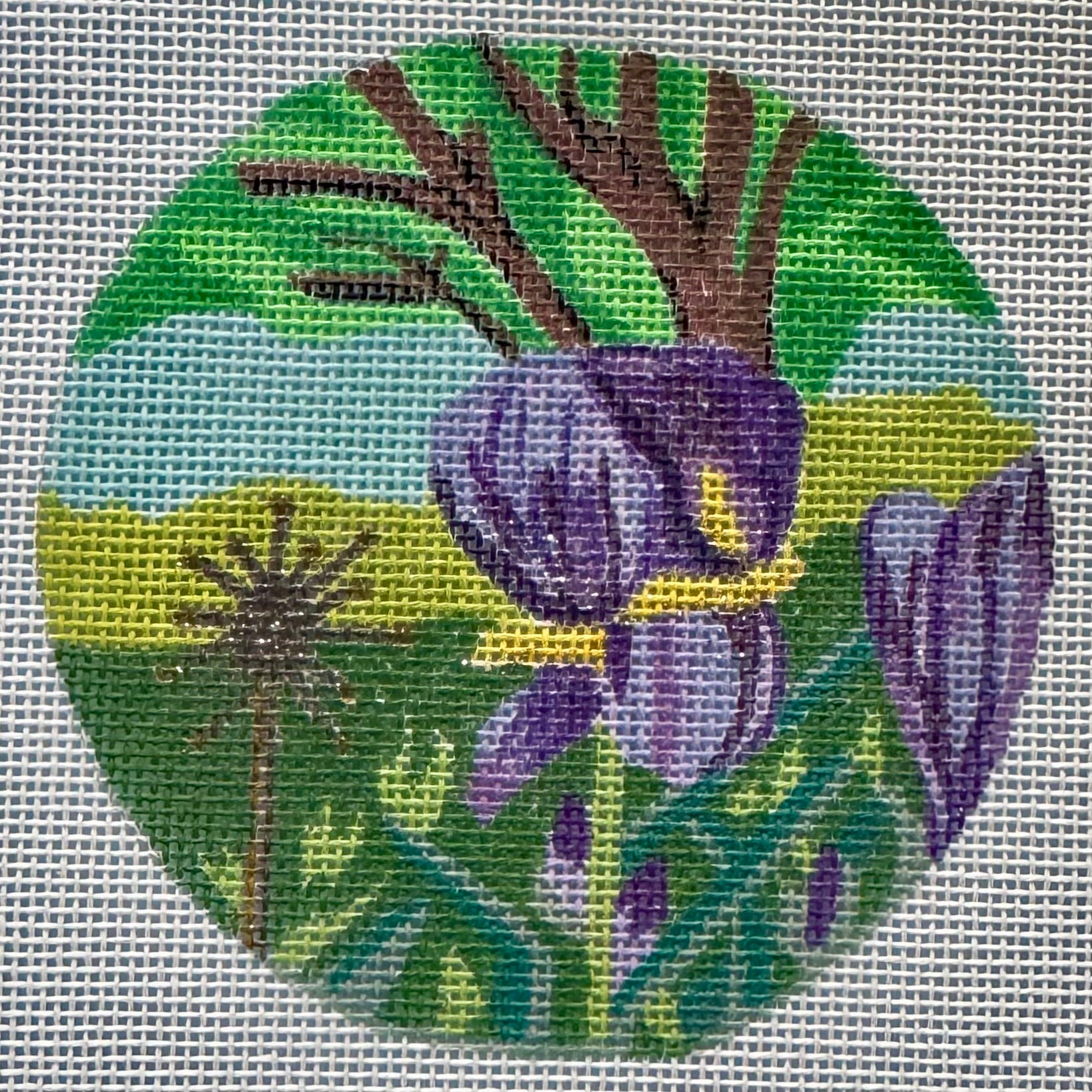 Iris Garden - One of a Kind!