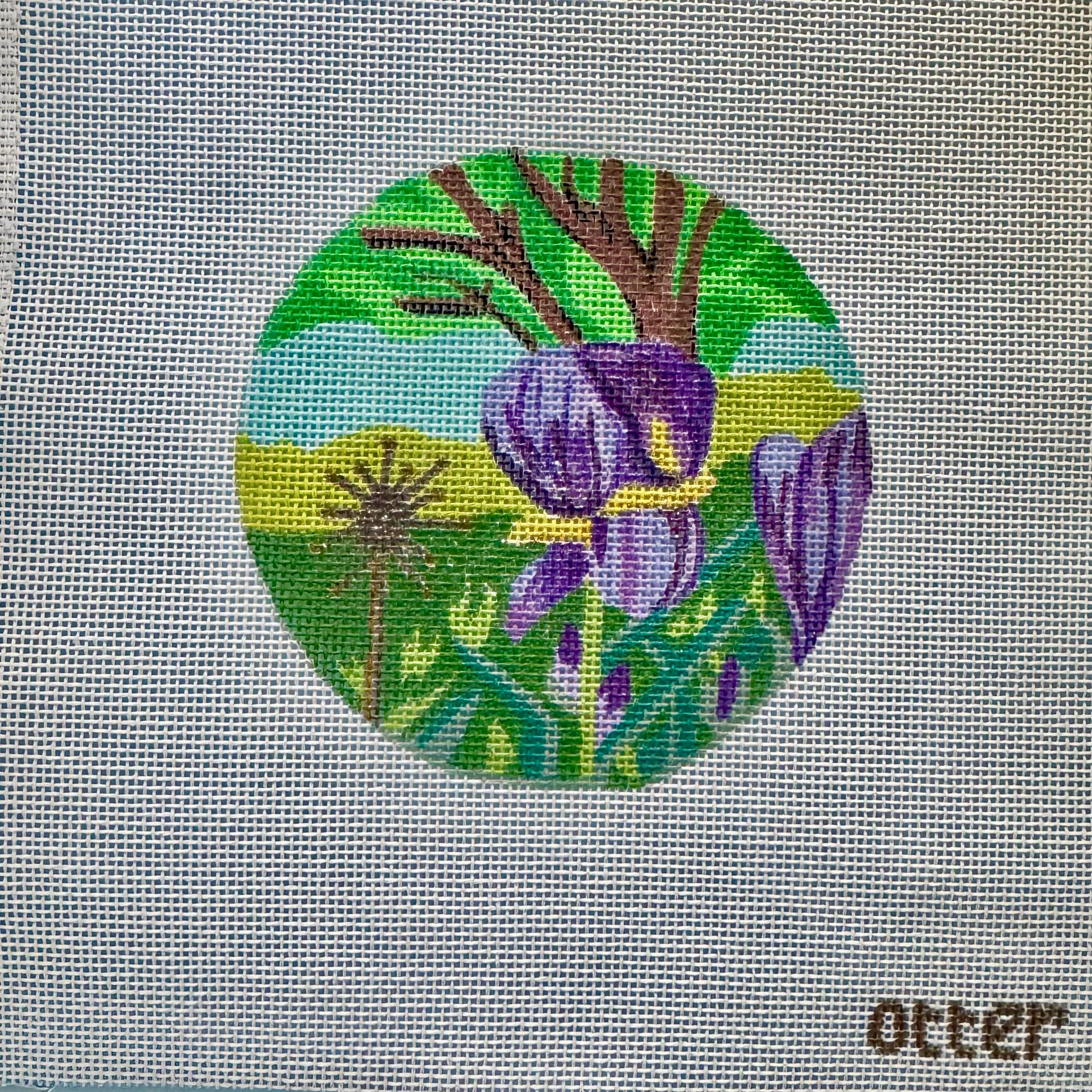 Iris Garden - One of a Kind!