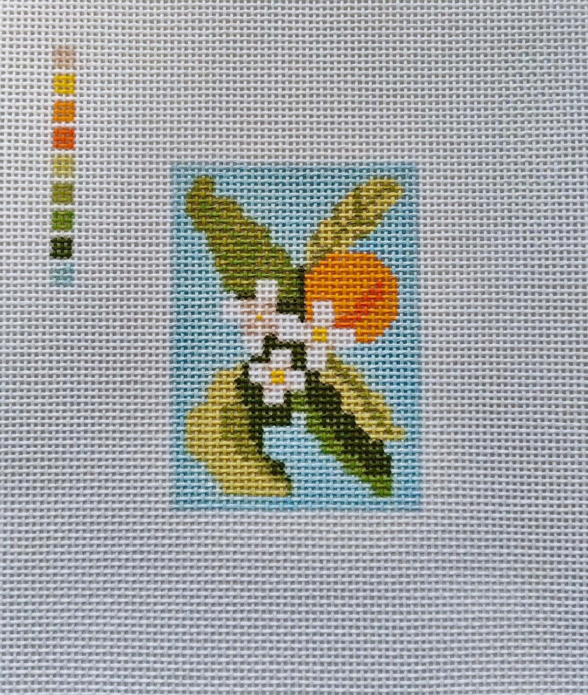 Orange Blossom 13