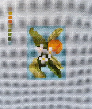 Orange Blossom 13