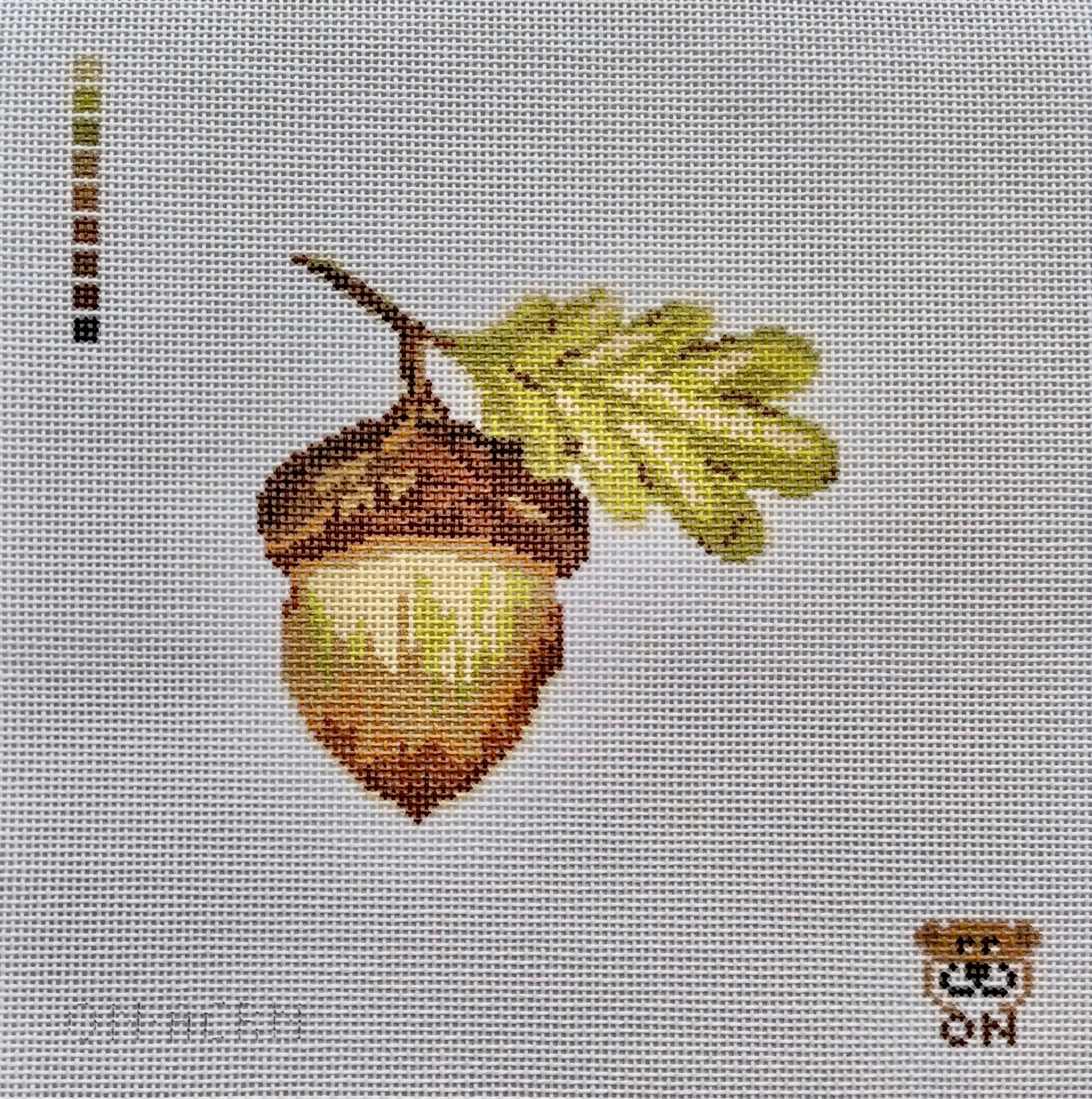 Acorn