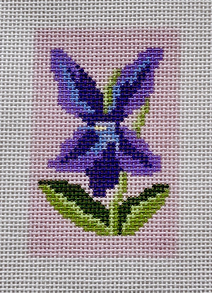 Violet 18