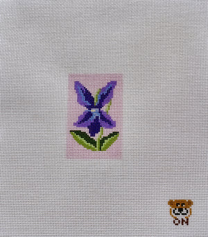 Violet 18