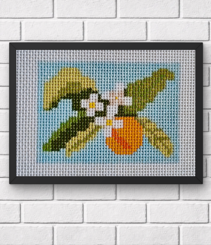 Orange Blossom 13