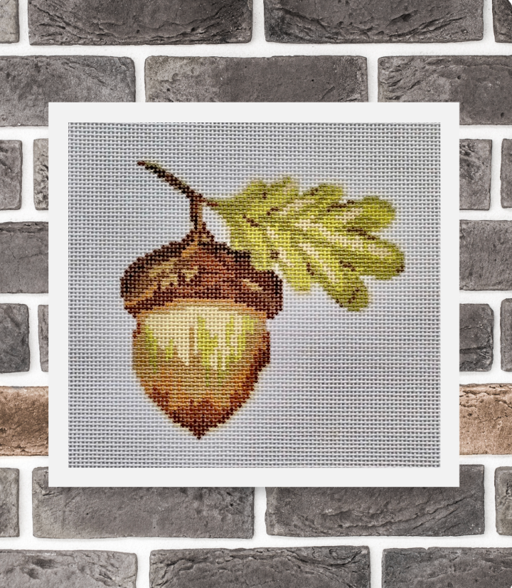 Acorn
