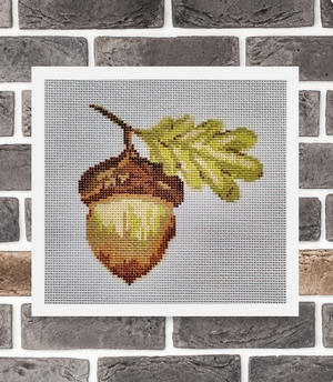 Acorn